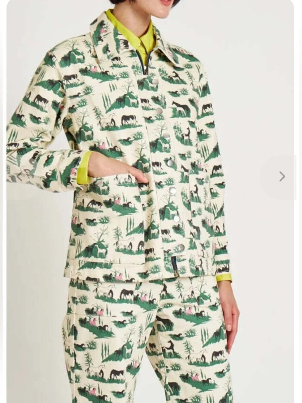 Rachel Antonoff Lizzie denim barn jean jacket in horse girl print cream green S - Picture 9 of 14